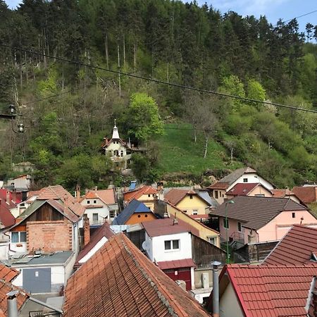Casa Mountain View Villa Braşov Exteriör bild