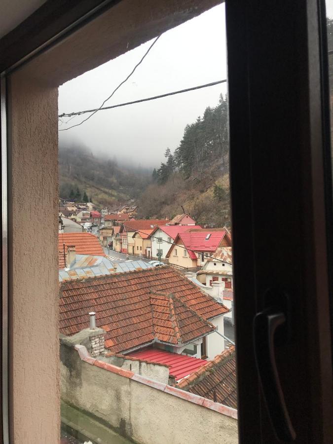 Casa Mountain View Villa Braşov Exteriör bild