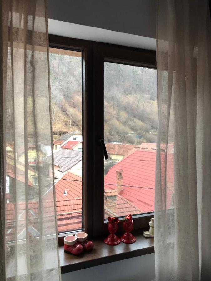 Casa Mountain View Villa Braşov Exteriör bild