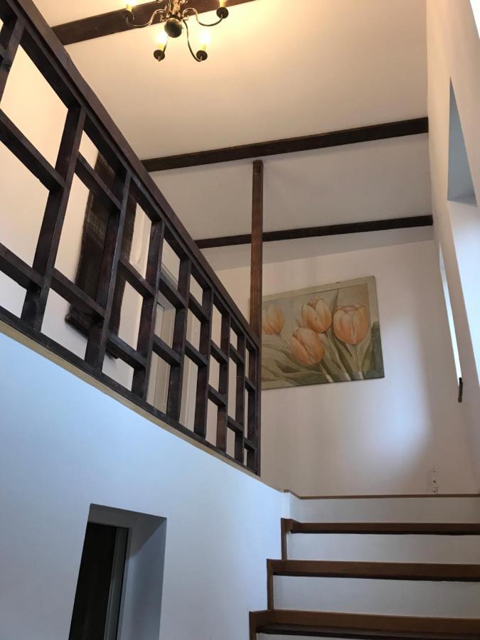 Casa Mountain View Villa Braşov Exteriör bild