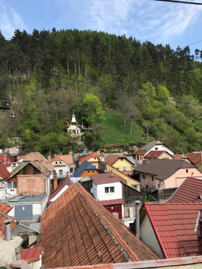 Casa Mountain View Villa Braşov Exteriör bild