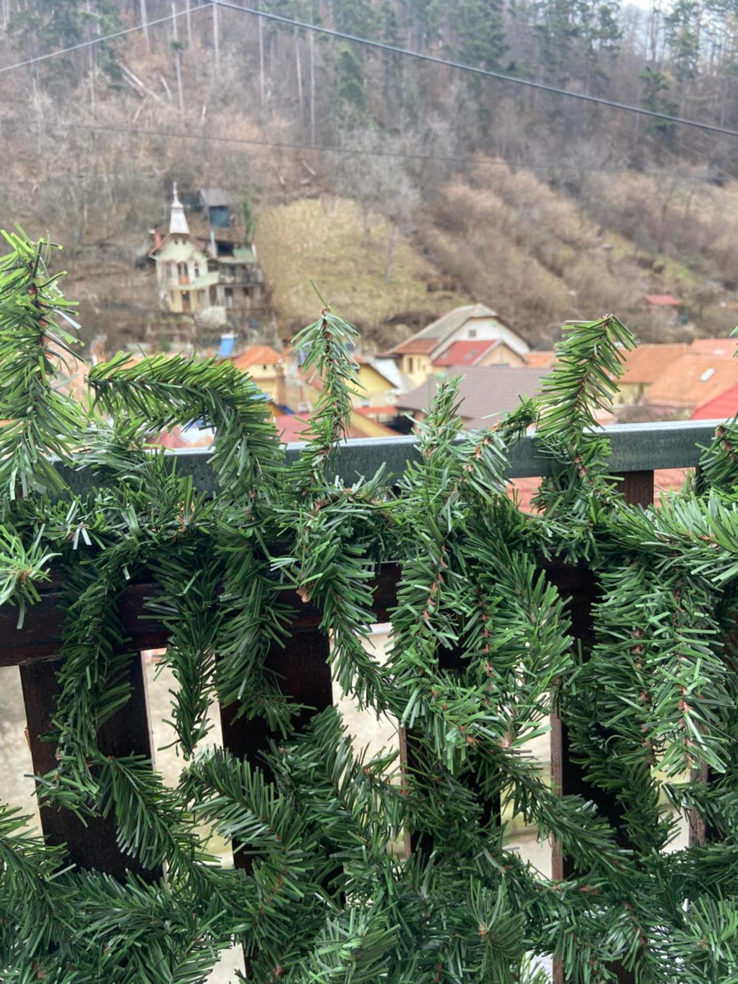 Casa Mountain View Villa Braşov Exteriör bild